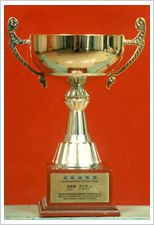 世界名医成就奖