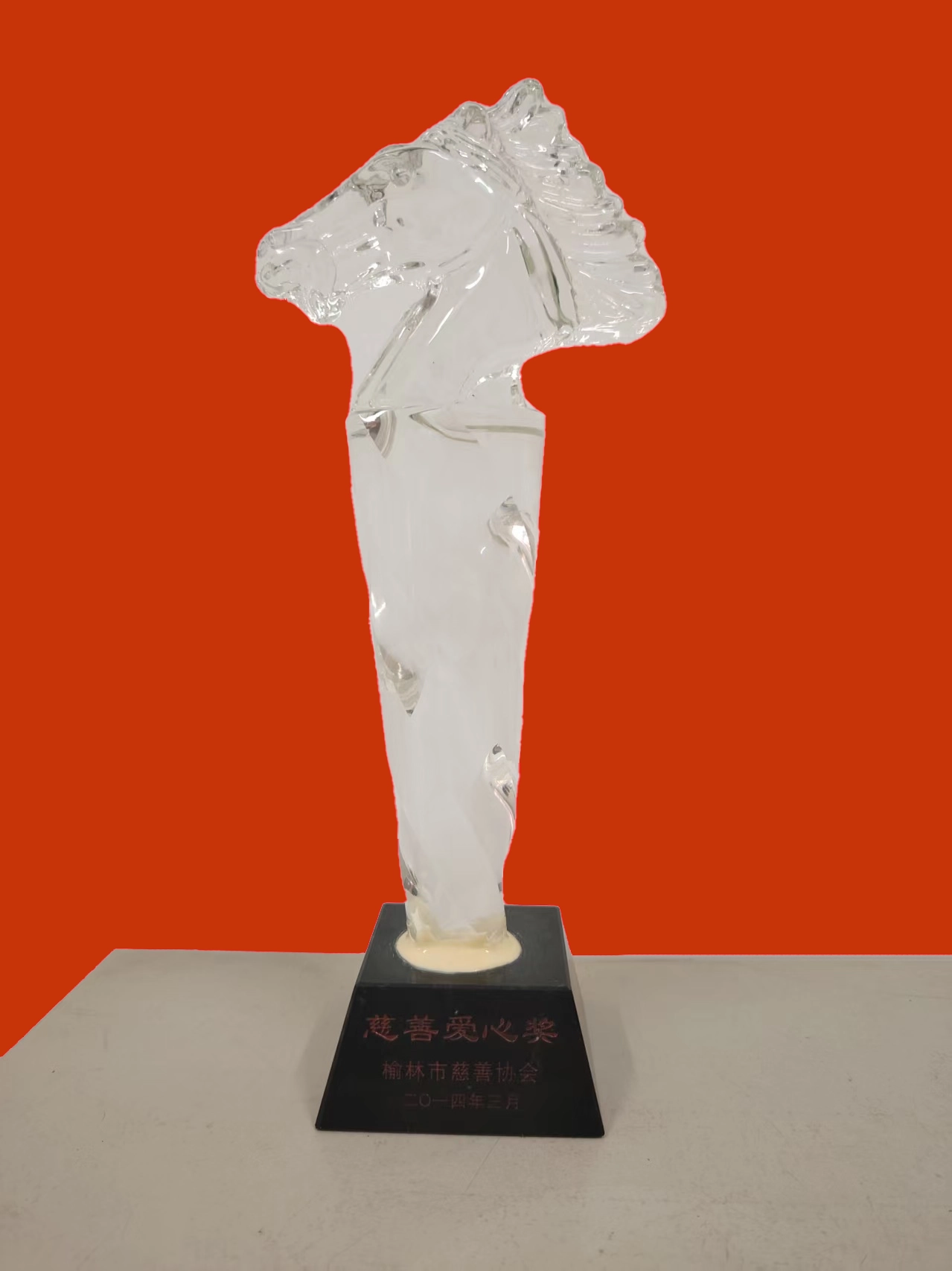 榆林市慈善协会慈善爱心奖